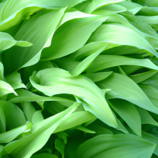 heets green